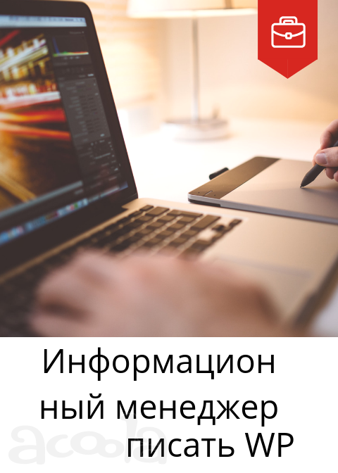 Информационный менеджер