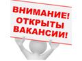 Администратор  в  ИП