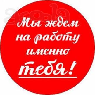 Подработка или  совмещение с основной работой.